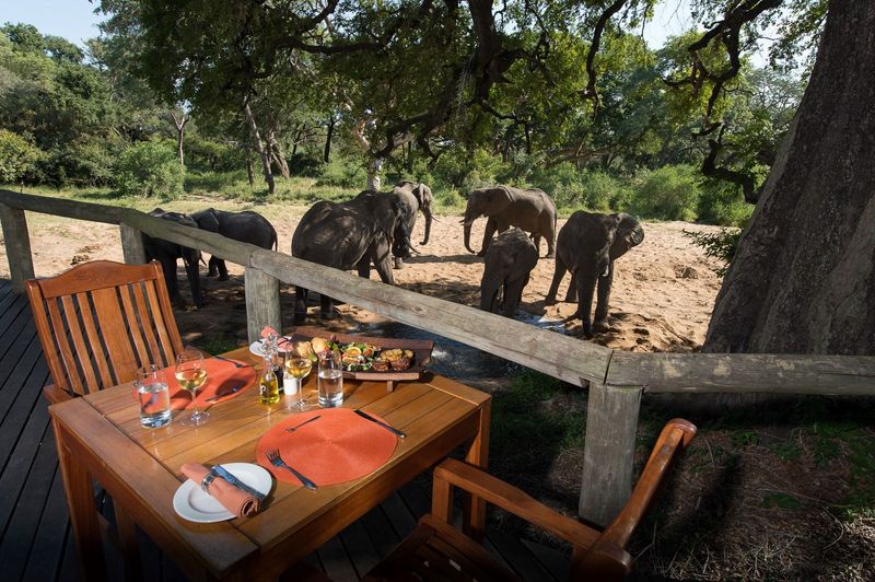 Dinner auf der Aussichtsterrasse