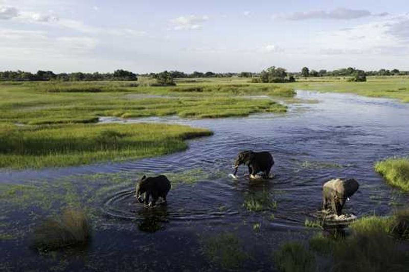 Wilderness Safaris in Botswana
