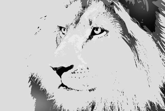 Africa's Big Cats - The African Lion