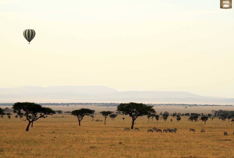 Sunset over the Serengeti