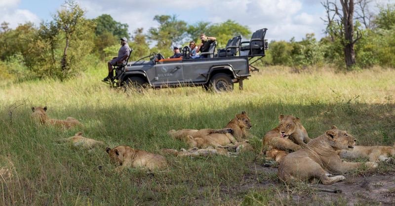 African safari socially distant