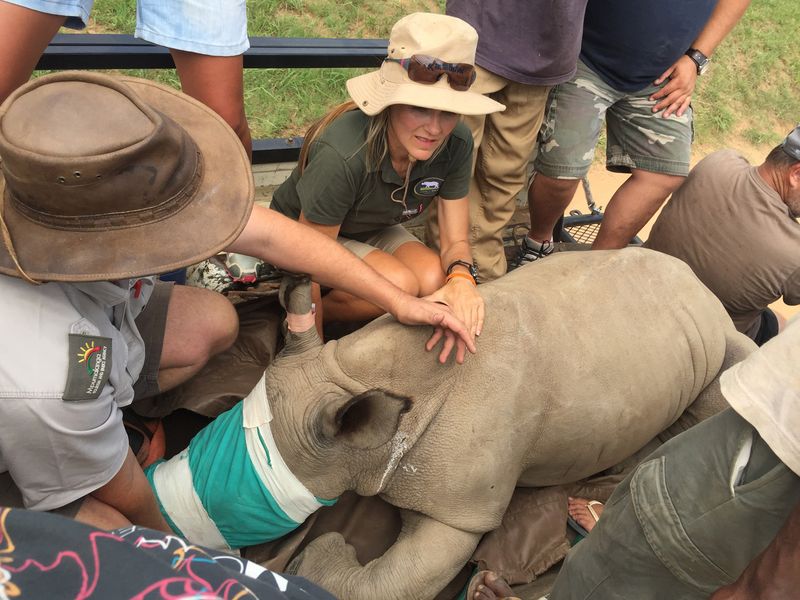Petronel in a truck with rhino