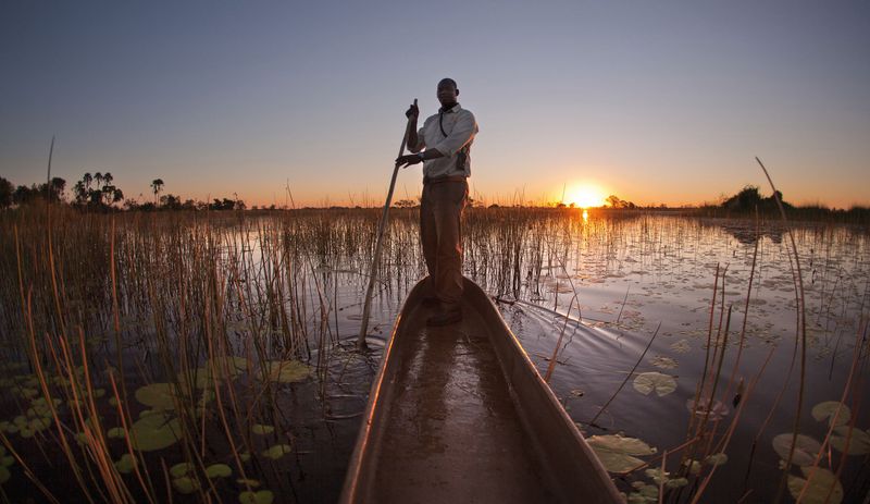 Um passeio de Mokoro no Delta do Okavango - lua de mel na África