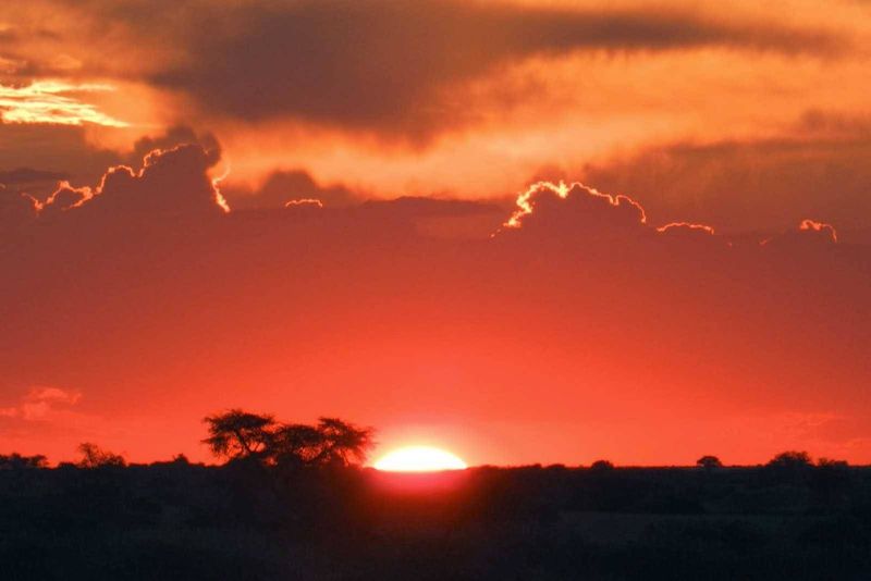 "At the top of one of the dunes we watched the sun set. The barman at the lodge had snacks and drinks waiting for everyone. It was a beautiful sight to see the sun set over the Kalahari Desert."