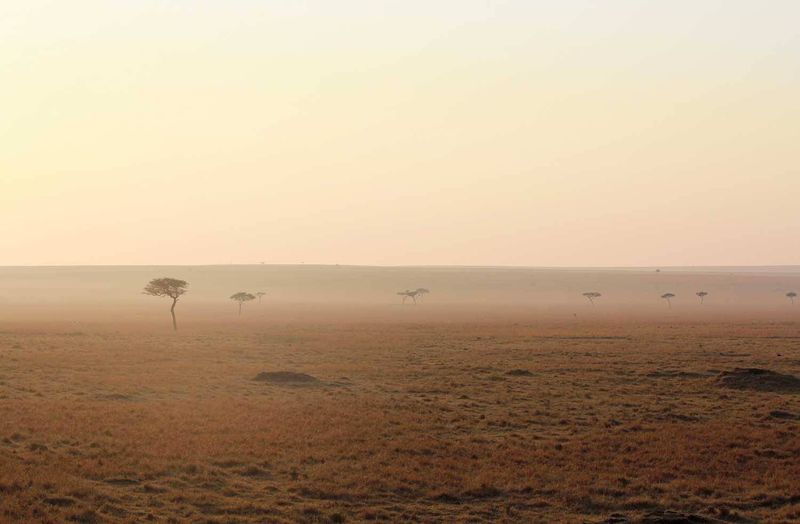 The Masai Mara