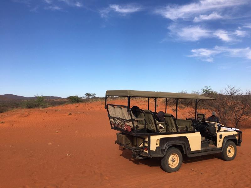 Et c'est parti pour notre dernier safari