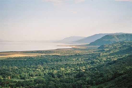 The Lush scenery of Lake Manyara