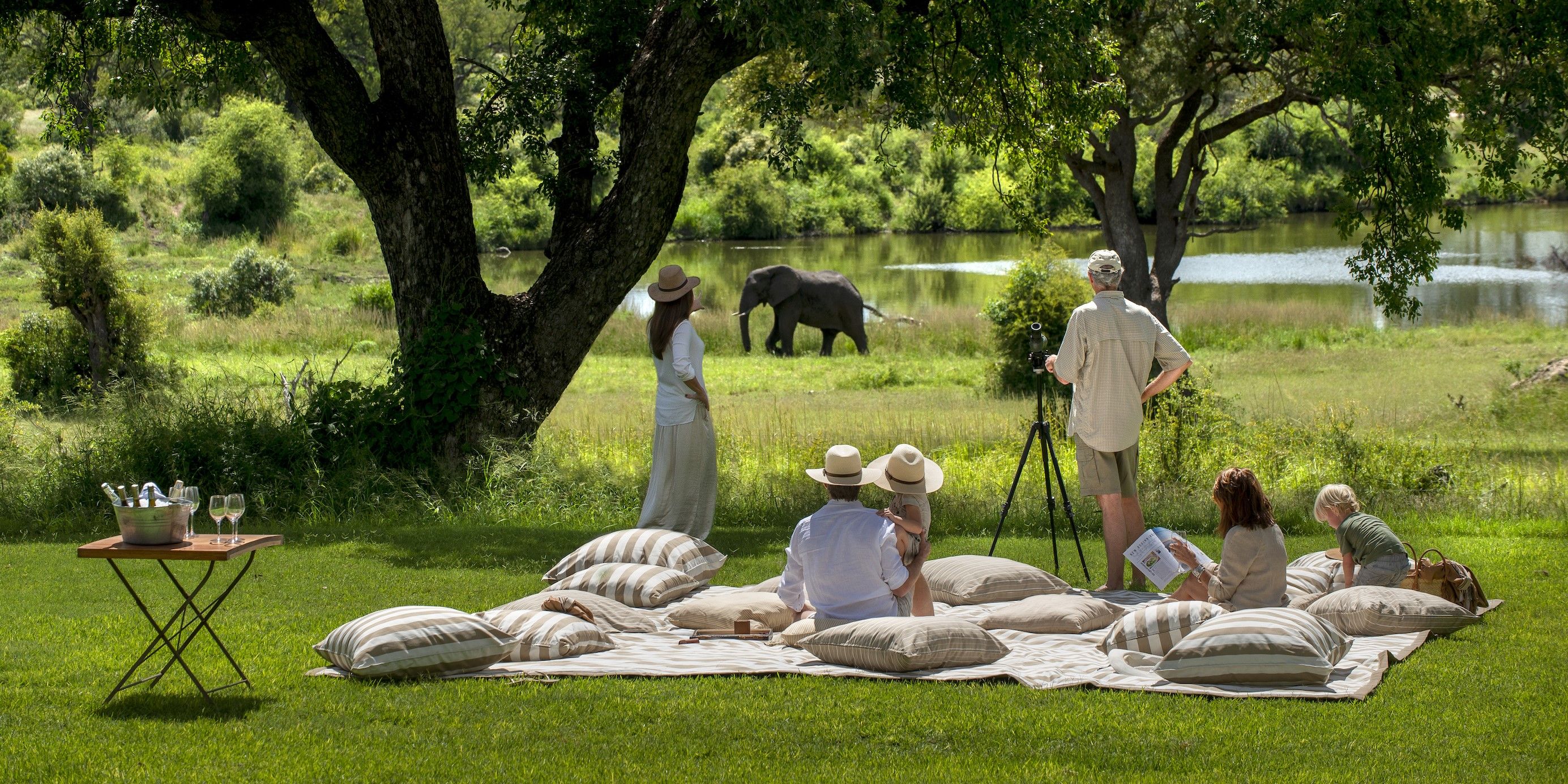 A Recipe to Your Ultimate Summer Safari