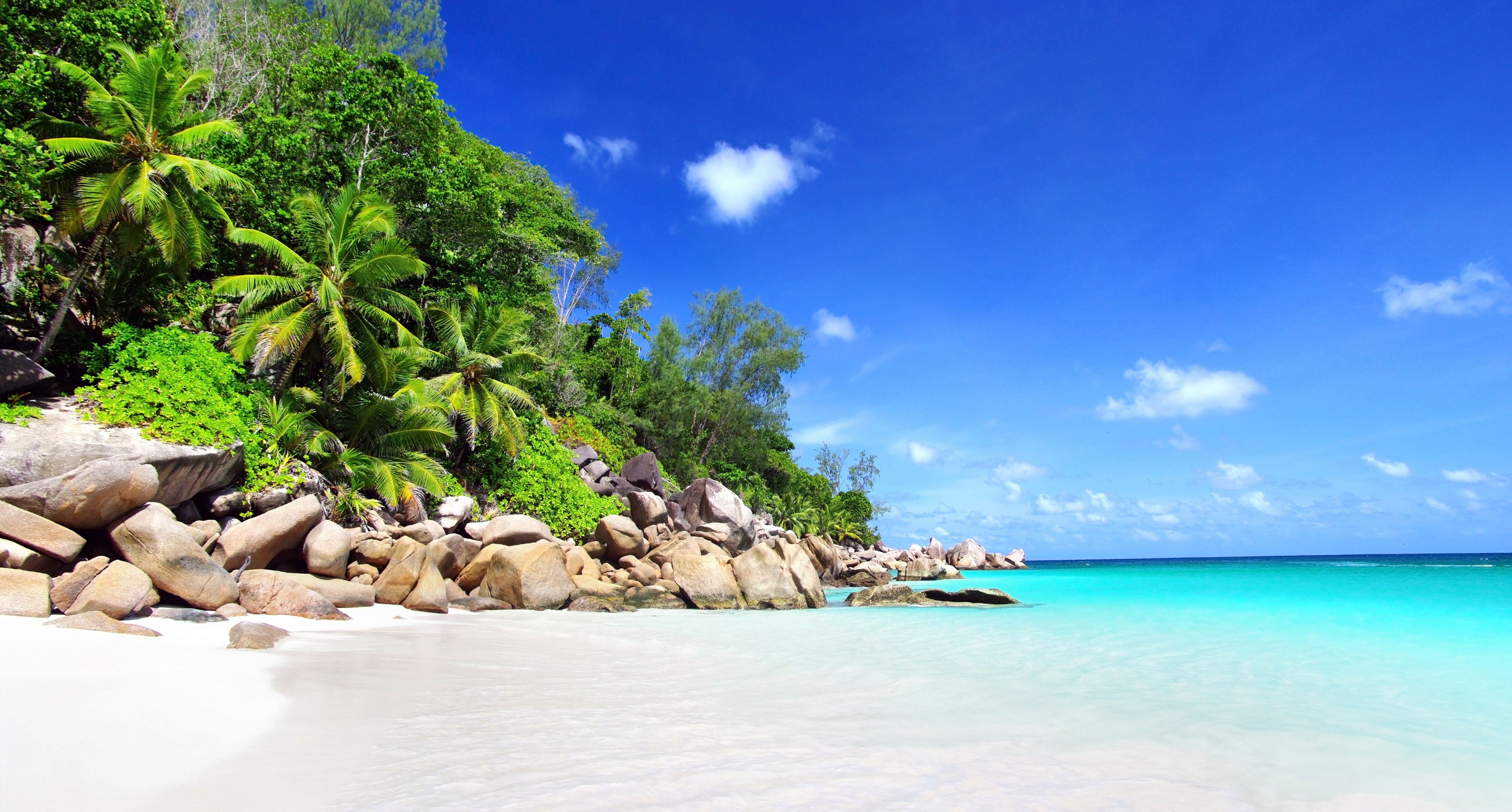 Seychelles on the Sea Shore