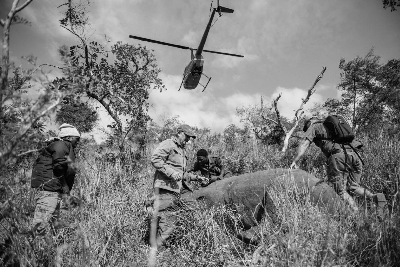 The People on the Ground Saving Our Rhinos in Africa