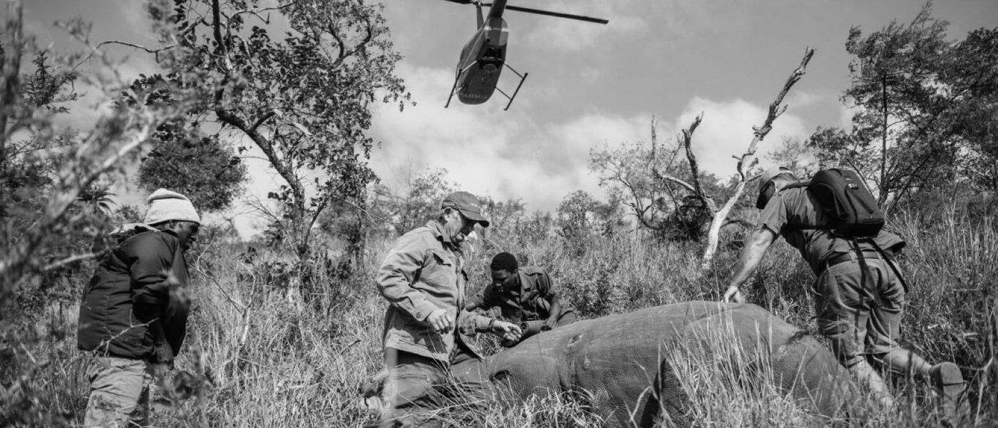The People on the Ground Saving Our Rhinos in Africa
