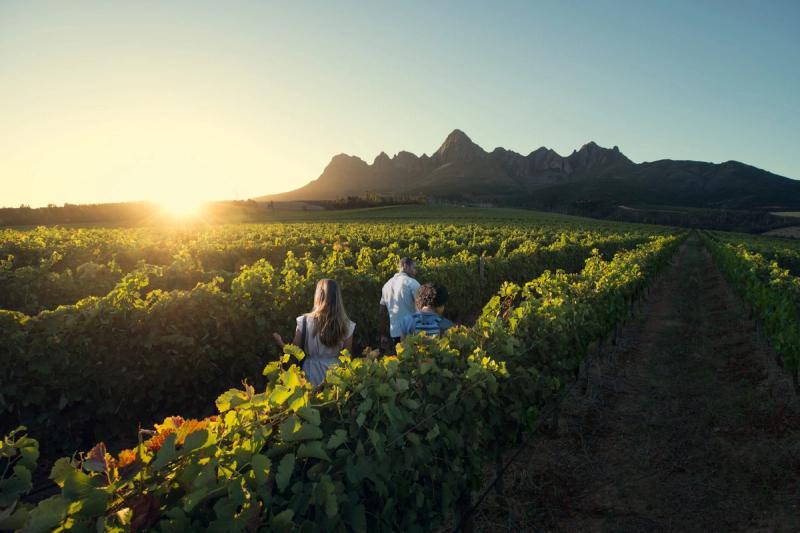 Winelands trails 