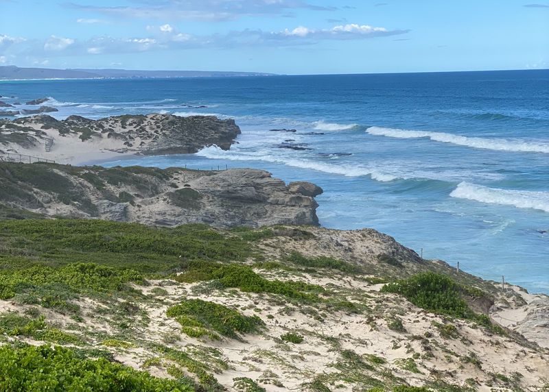 Im De Hoop Nature Reserve treffen sich Ozean und Fynbos-Vegetation