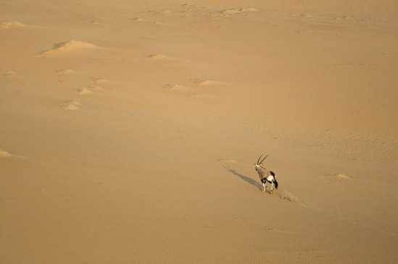 World Water Day - Namibia