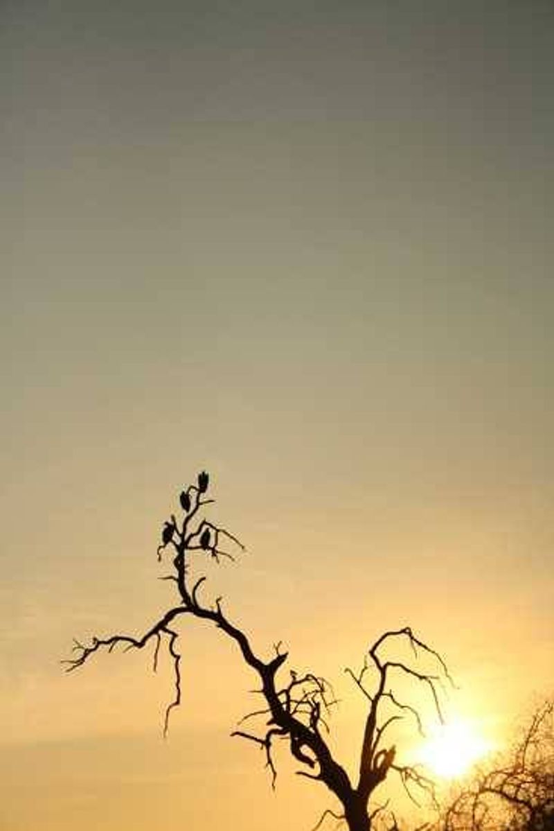 Behind the lens - Samantha Myburgh