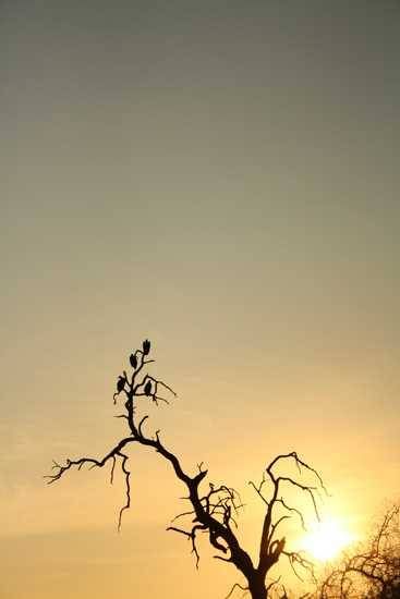 Behind the lens - Samantha Myburgh