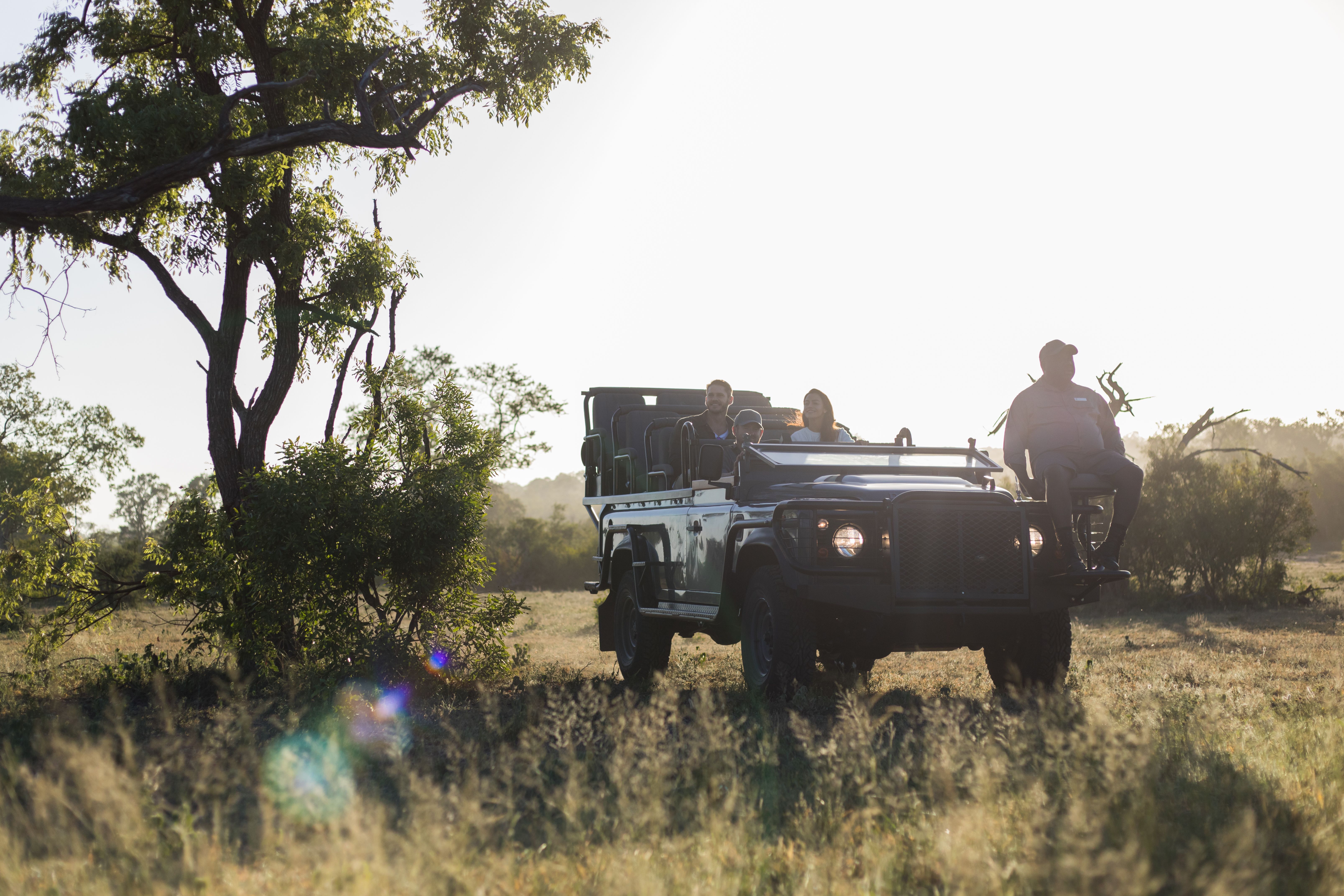 Silvan’s Wildlife Sightings in February: Silvan Safari Blog