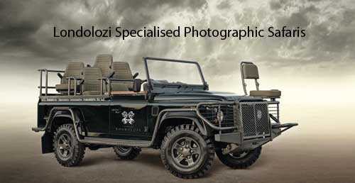 A Picture Perfect Photo Safari