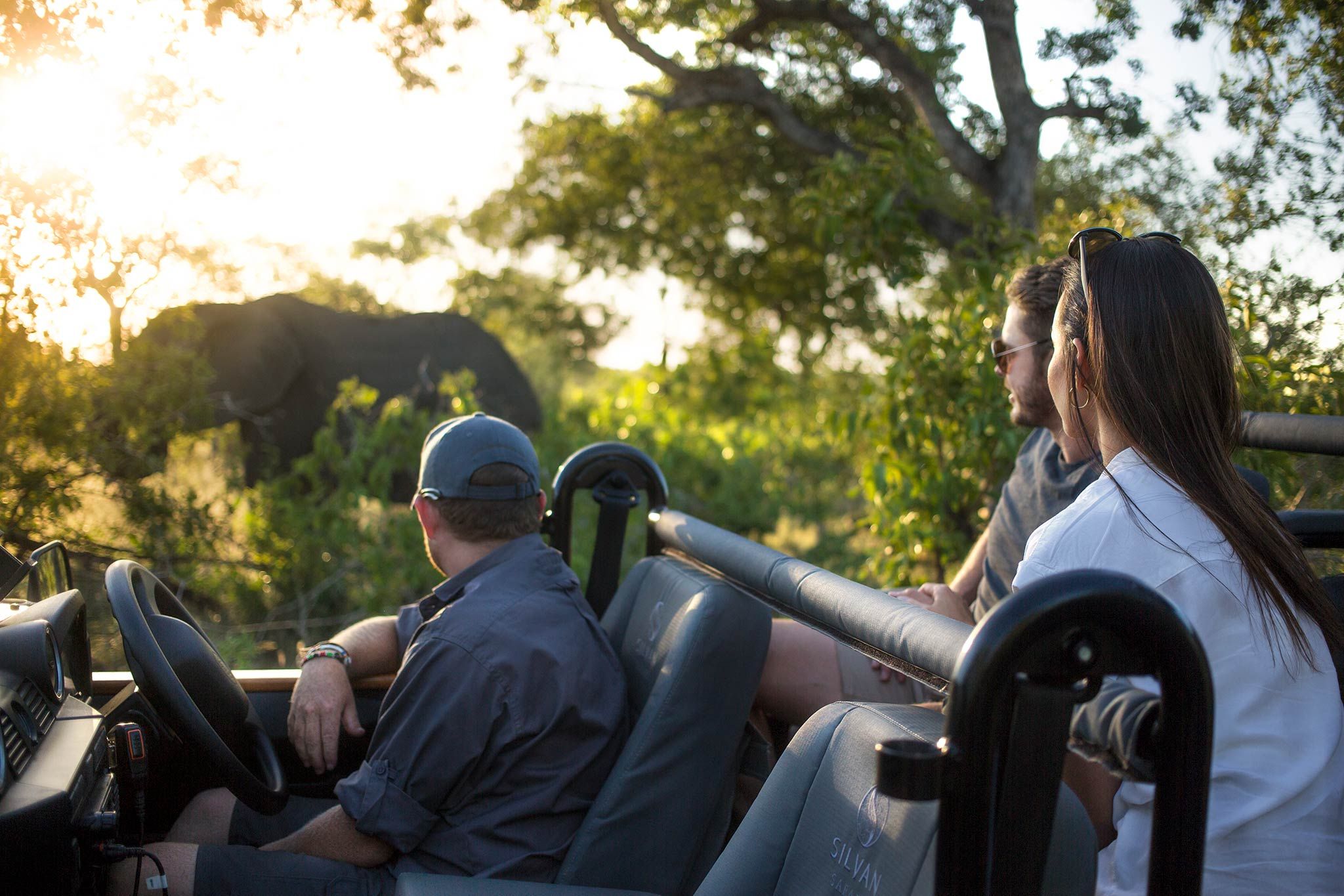 Silvan Safari Blog - What Makes Silvan So Special?