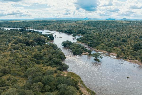 A Nyerere National Park Safari is Waiting for You