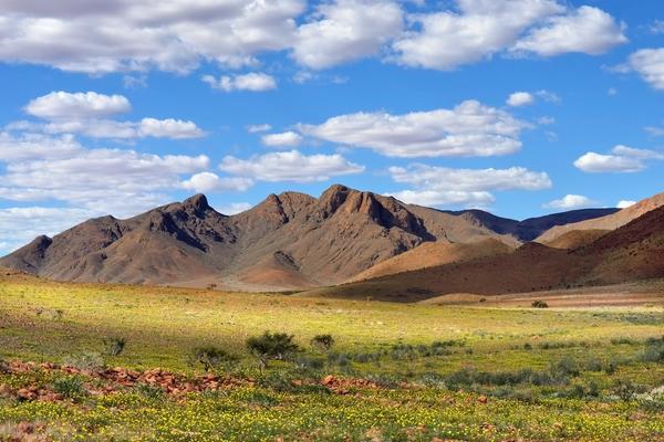 Überraschend grün: Namibia in der Regenzeit