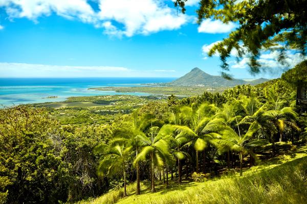 Temporizando sua Escapada Tropical: Quando Visitar Maurício