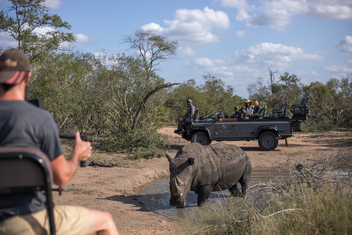 Unvergessliche Aktivitäten im Sabi Sand Game Reserve