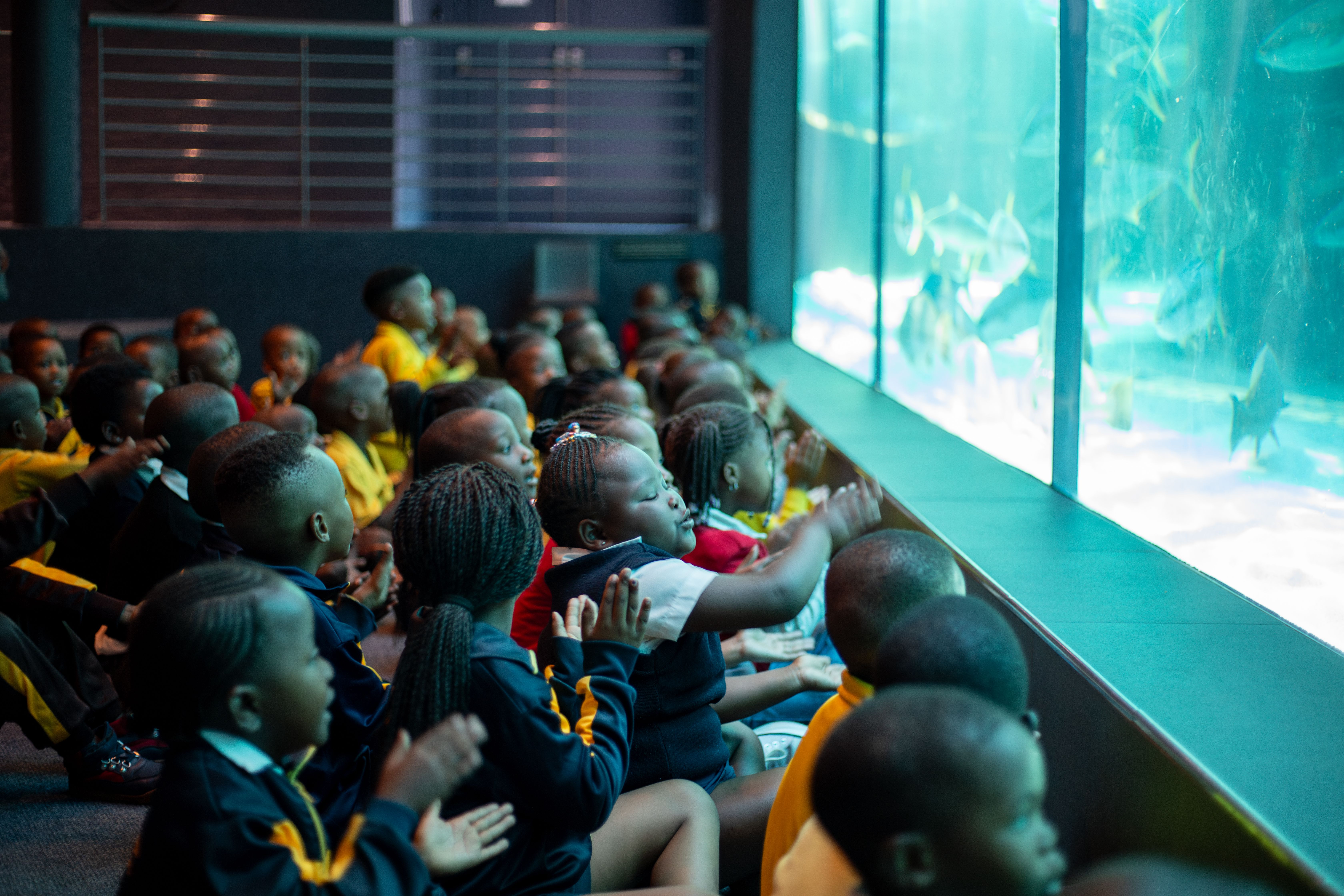 A Day Spent at the Aquarium with the Children of Khumbulani