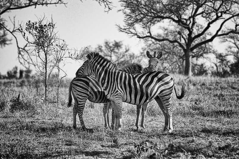 Randy Harris Photography
