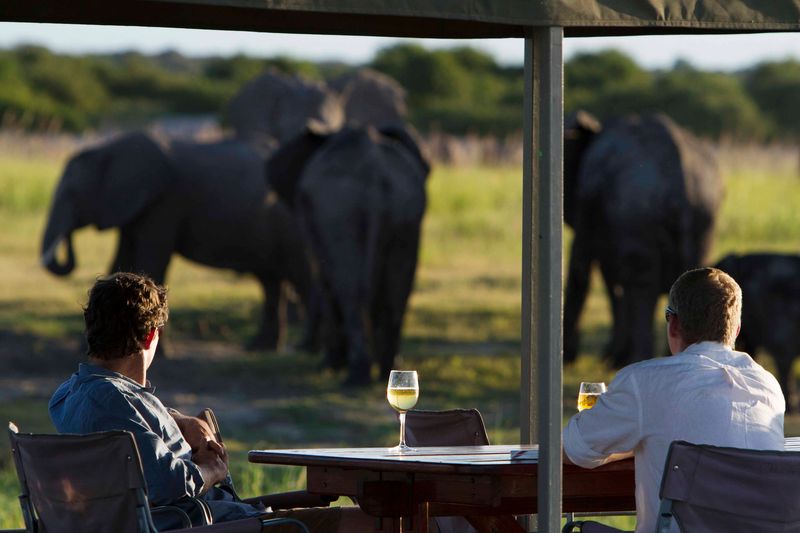 Africa's elephants can be viewed at Chobe Lodge
