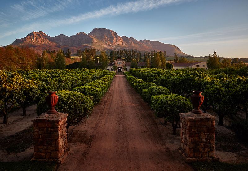 Waterford Estate is situated in the Blaauwklippen Valley on the rolling slopes of the Helderberg Mountain.