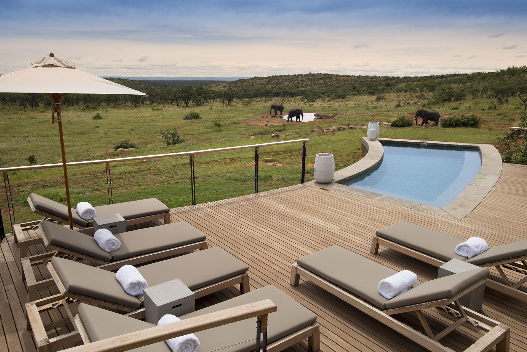 Mhondoro Safari Lodge | Review 2020
