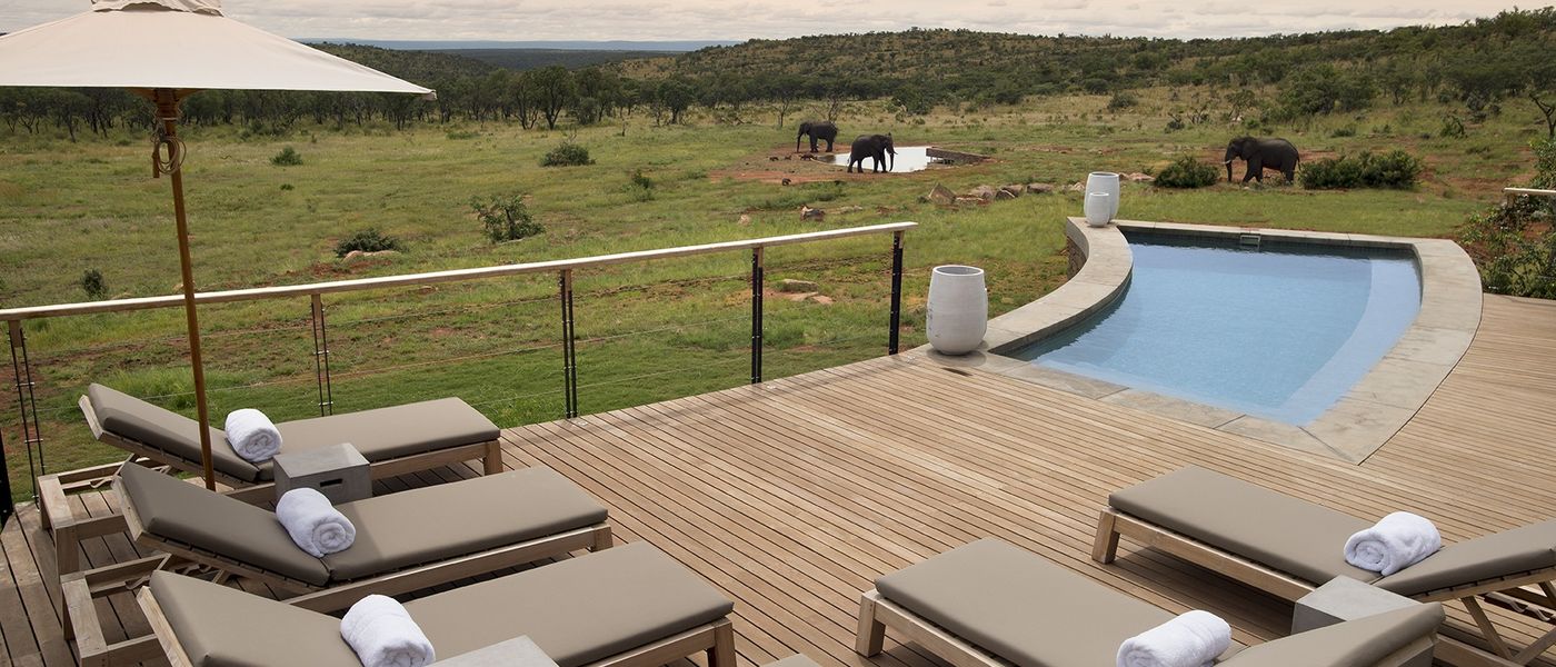 Mhondoro Safari Lodge | Review 2020