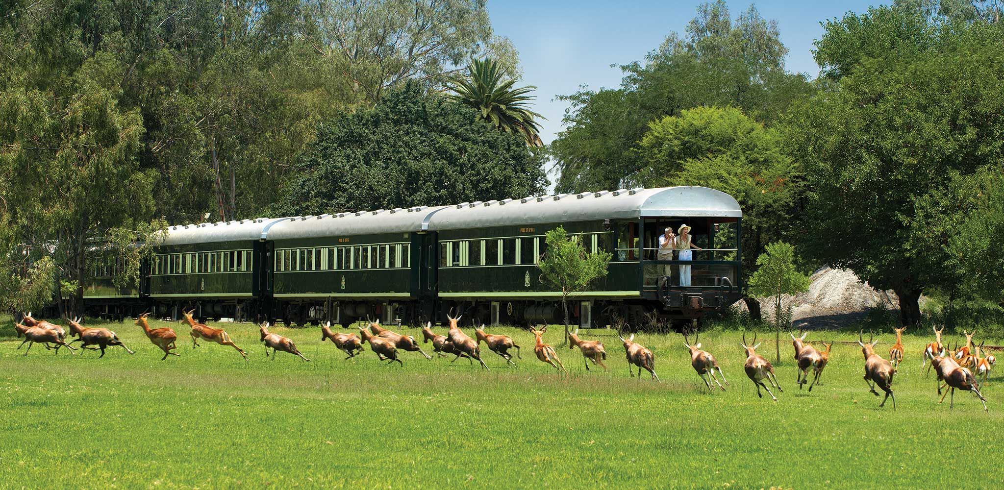 Os melhores safáris de trem de luxo na África Austral