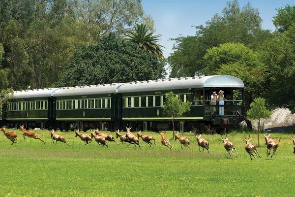 Os melhores safáris de trem de luxo na África Austral