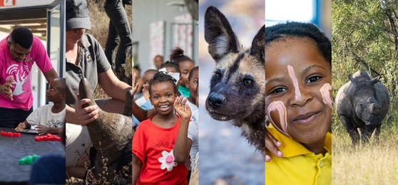 Why We're Thankful for Our Rhino Africa Impact Partners