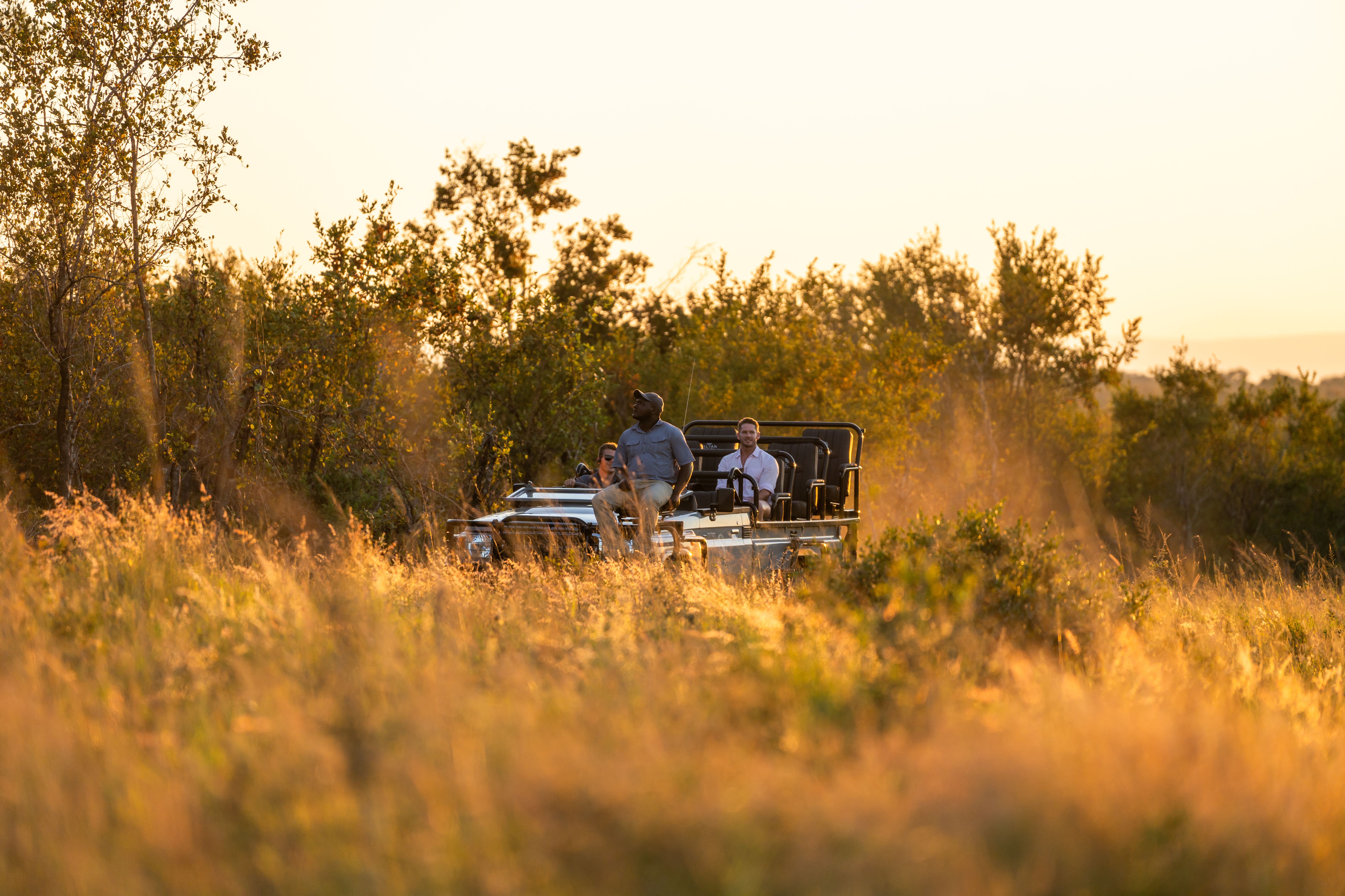 5 Gründe für eine Safari im Sabi Sand Game Reserve