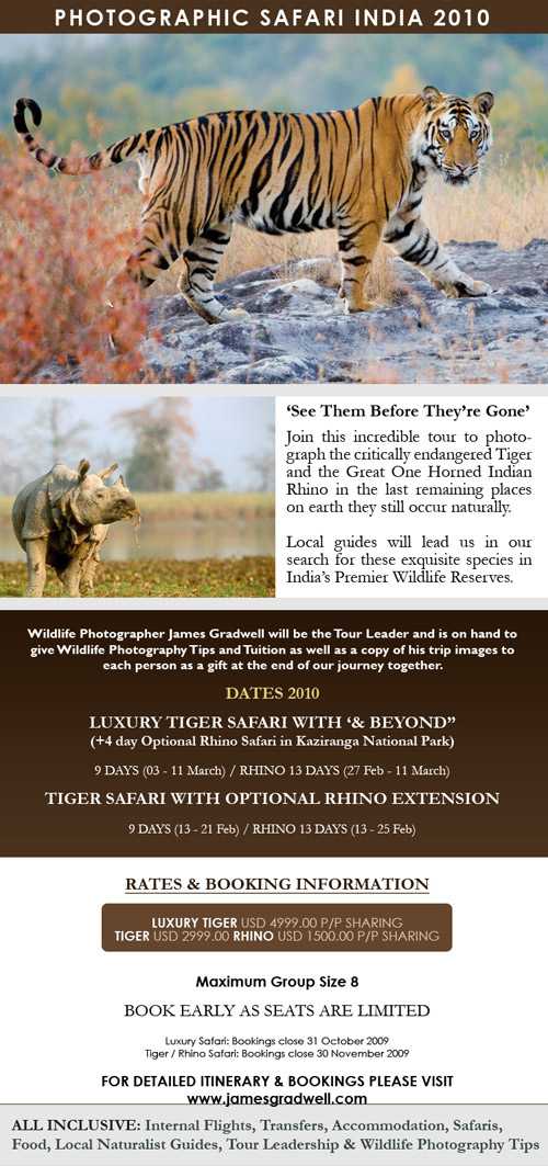 Photographic Safari to India