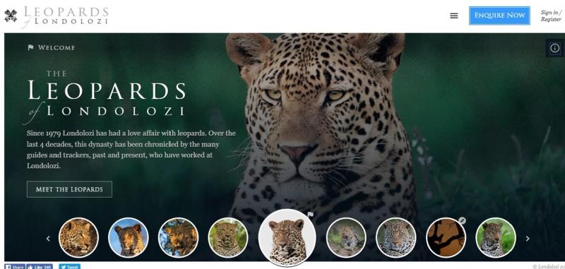 Screenshot der Leoparden-Webseite von Londolozi