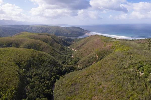 Your Guide to a Garden Route Road Trip Journey