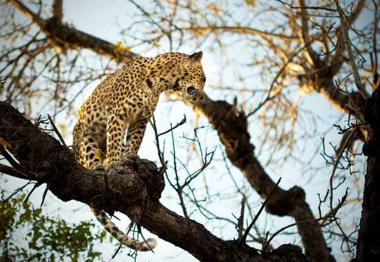 The Chitwa Chitwa Experience in Pictures