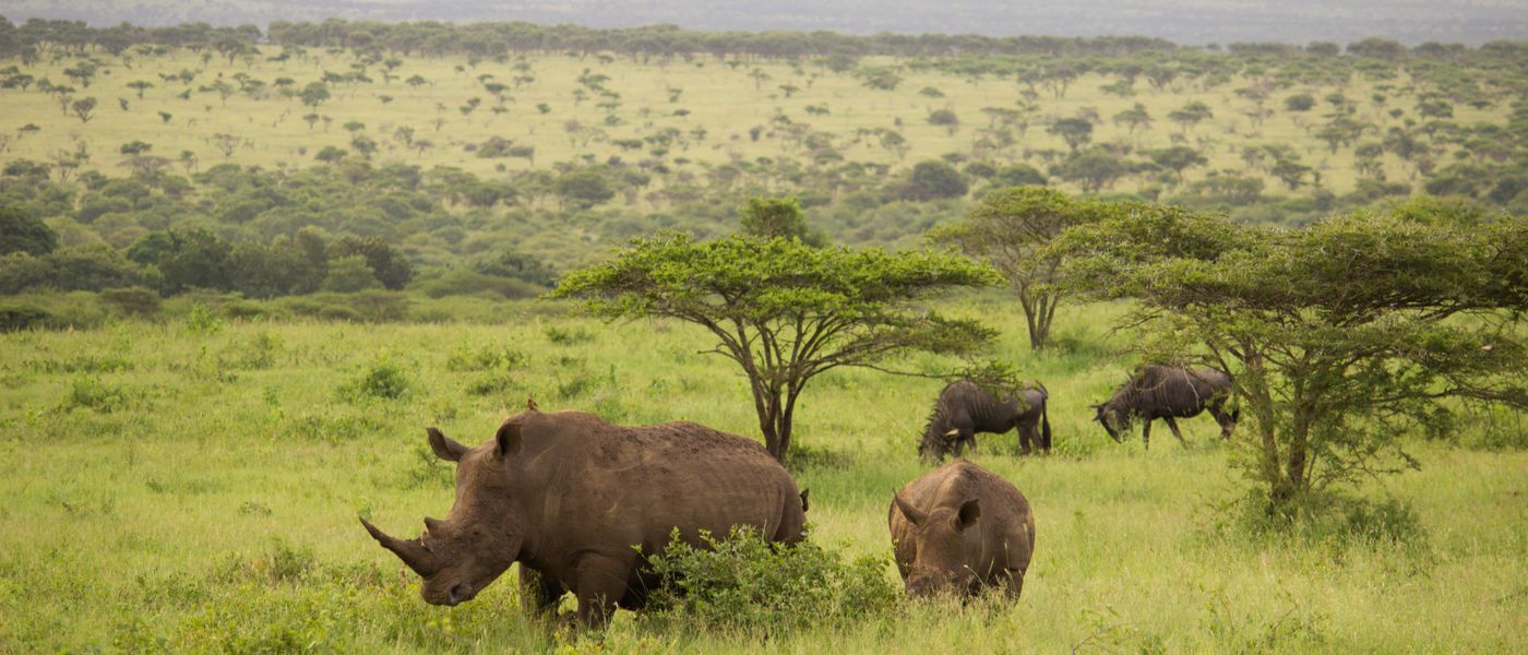 Thanda Safari Lodge: Arrive as Guest, Leave as Friend