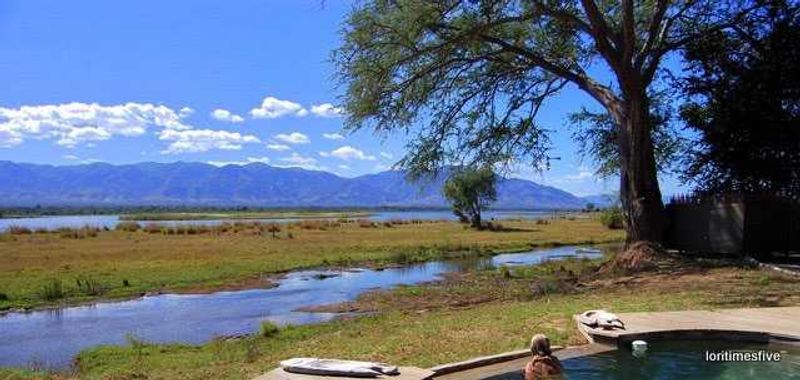 A pool with a view|Mana Pools
