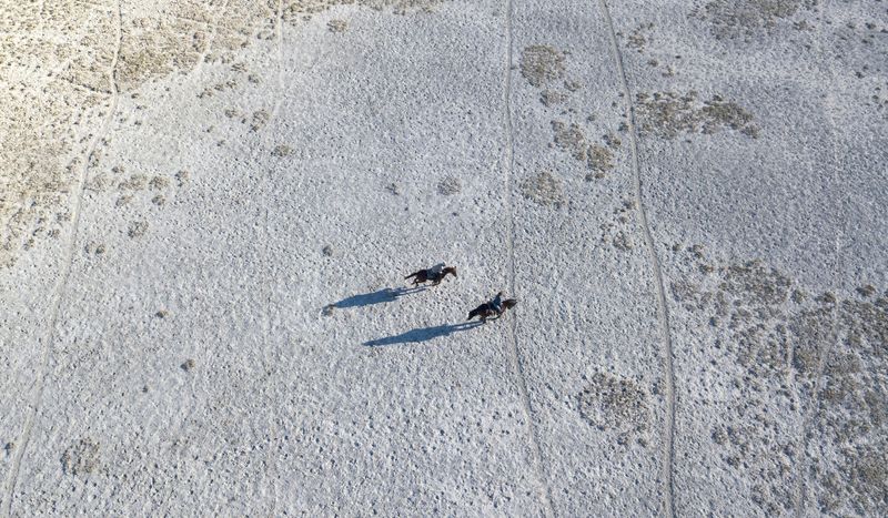 Ausritt in den Salzpfannen von Botswana