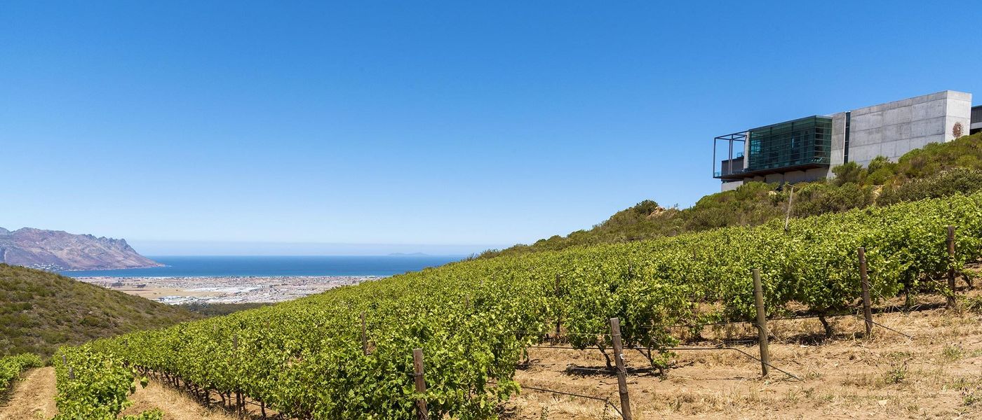 Our Favourite Restaurants in Somerset West