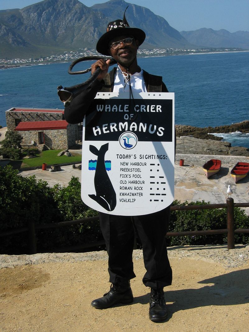 The Hermanus Whale Crier is an important guide on the Whale Route 