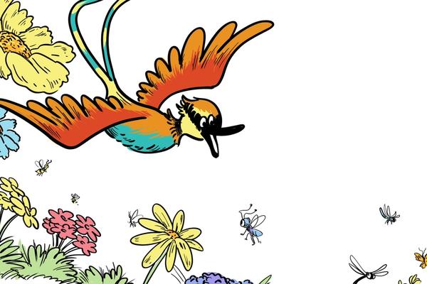 Bella the Bee-Eater’s Bold Adventure