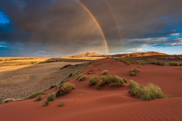 Don’t Miss These Safari Experiences in Namibia