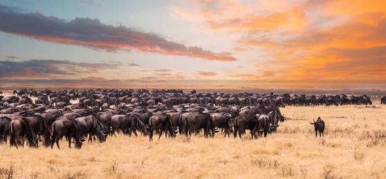Os melhores destinos para visitar na África Oriental
