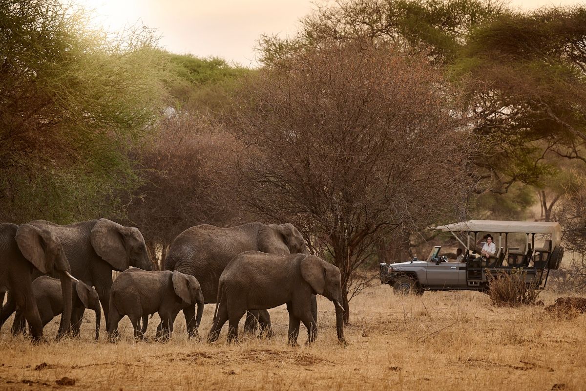 Was ist in meiner All-inclusive-Safari inbegriffen?